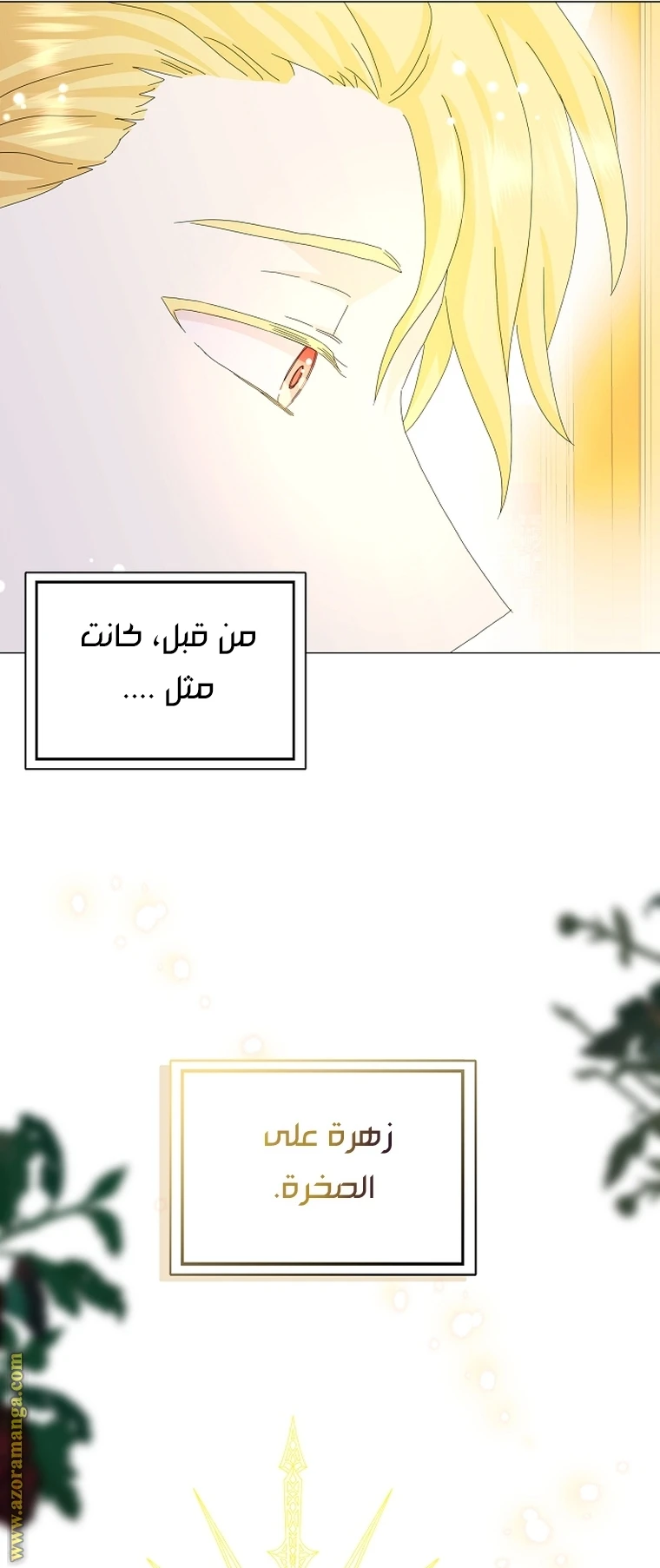 الصفحة 23