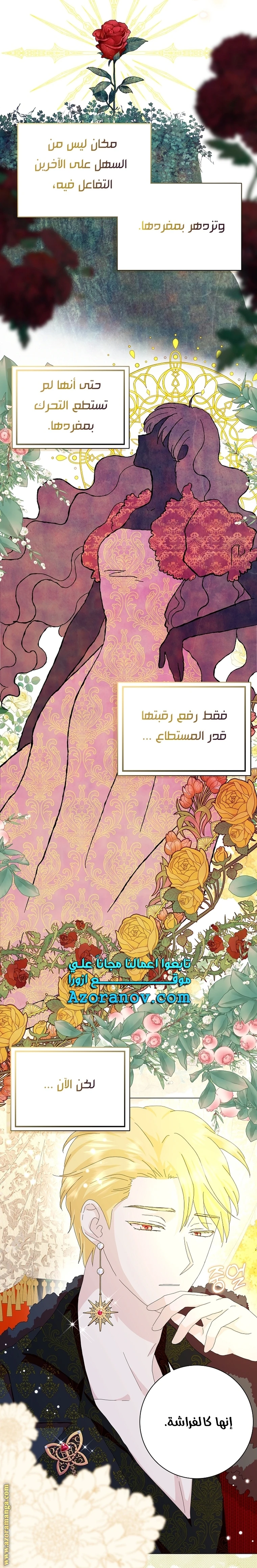 الصفحة 24