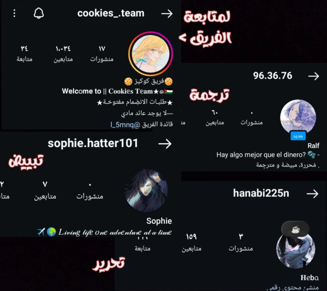 الصفحة 12