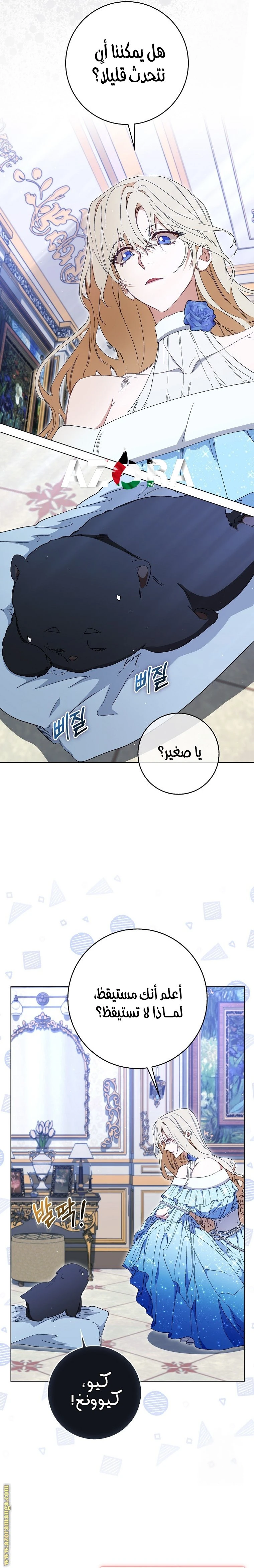 الصفحة 12