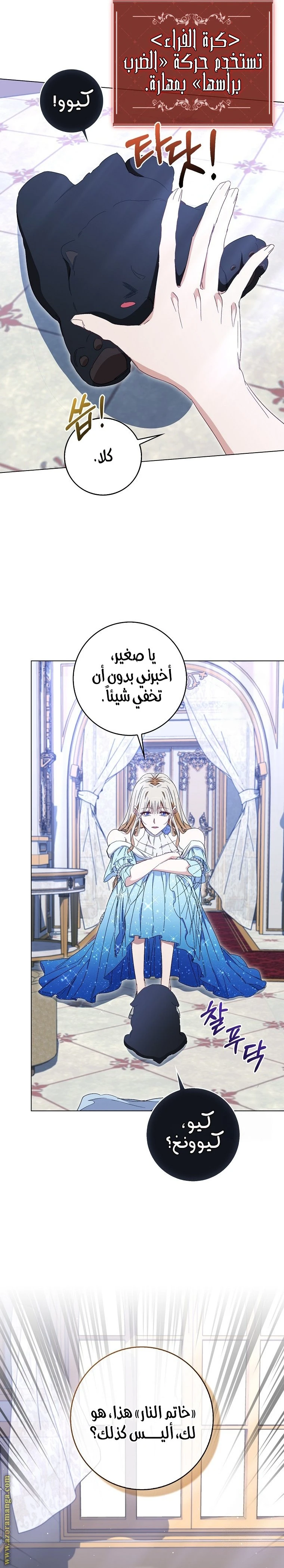 الصفحة 13