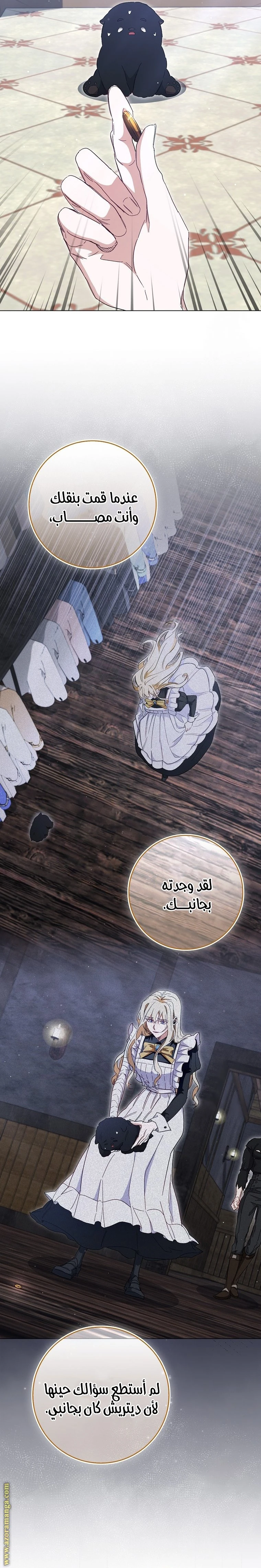 الصفحة 14