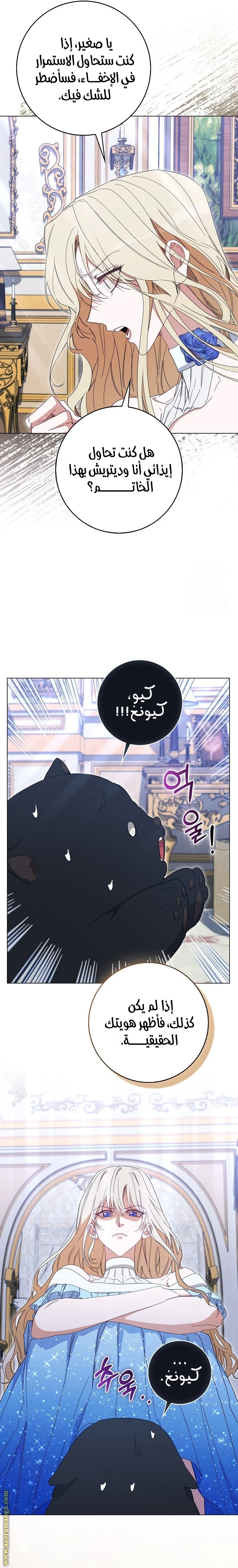 الصفحة 16