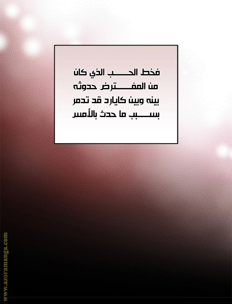 الصفحة 20