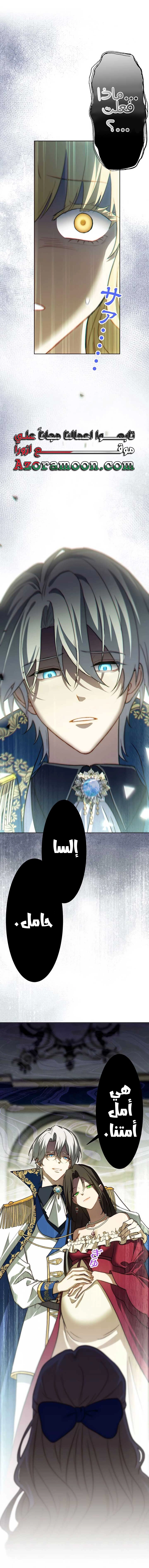 الصفحة 26