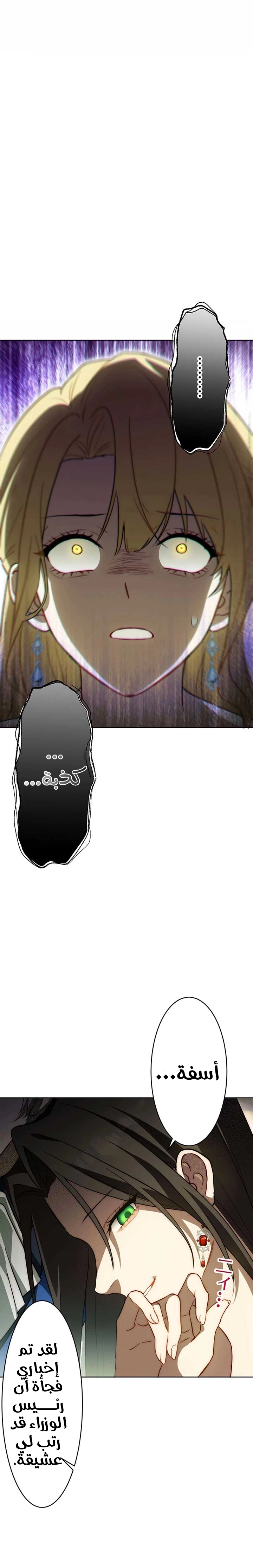 الصفحة 27
