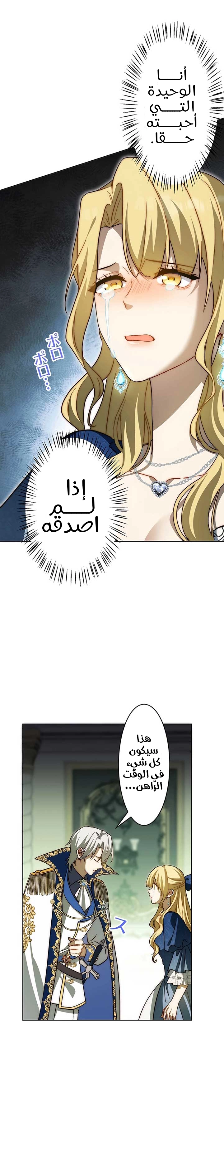 الصفحة 29