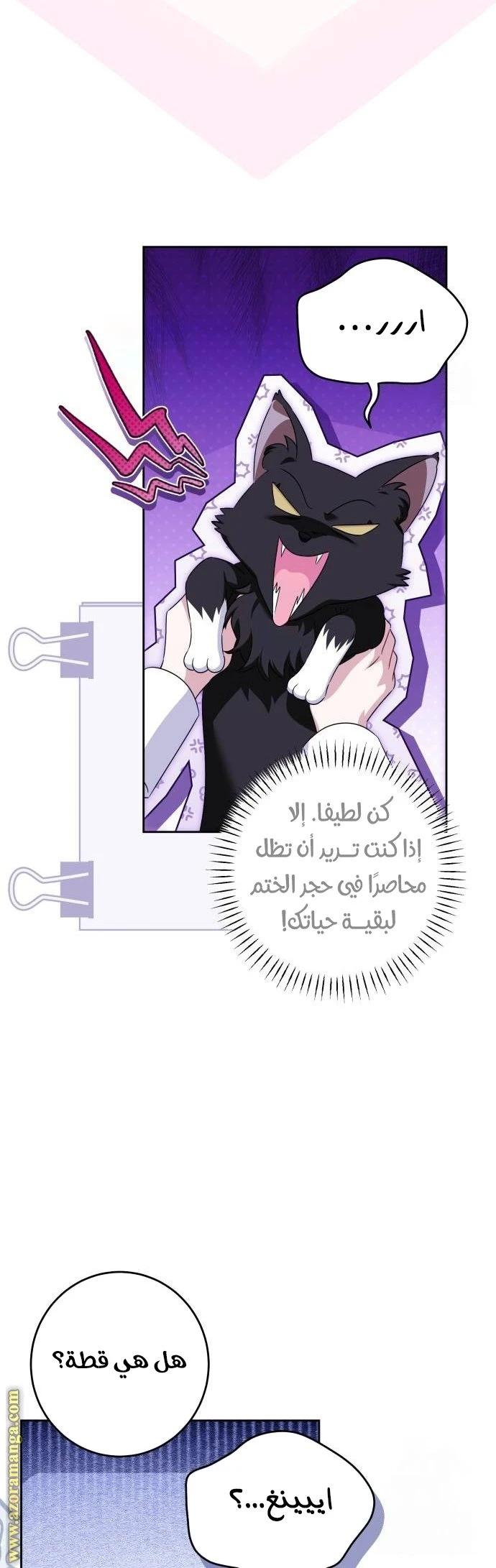 الصفحة 11