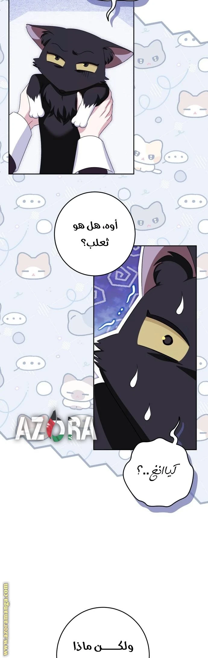الصفحة 12