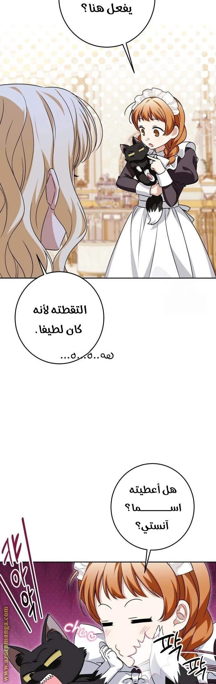 الصفحة 13