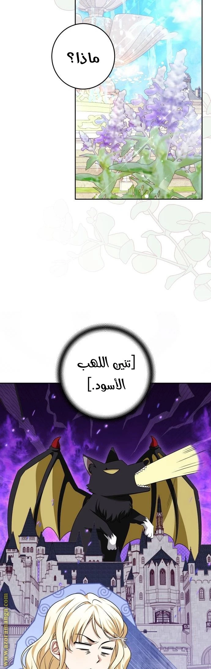 الصفحة 20