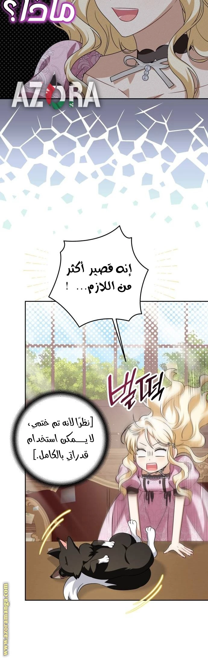 الصفحة 40