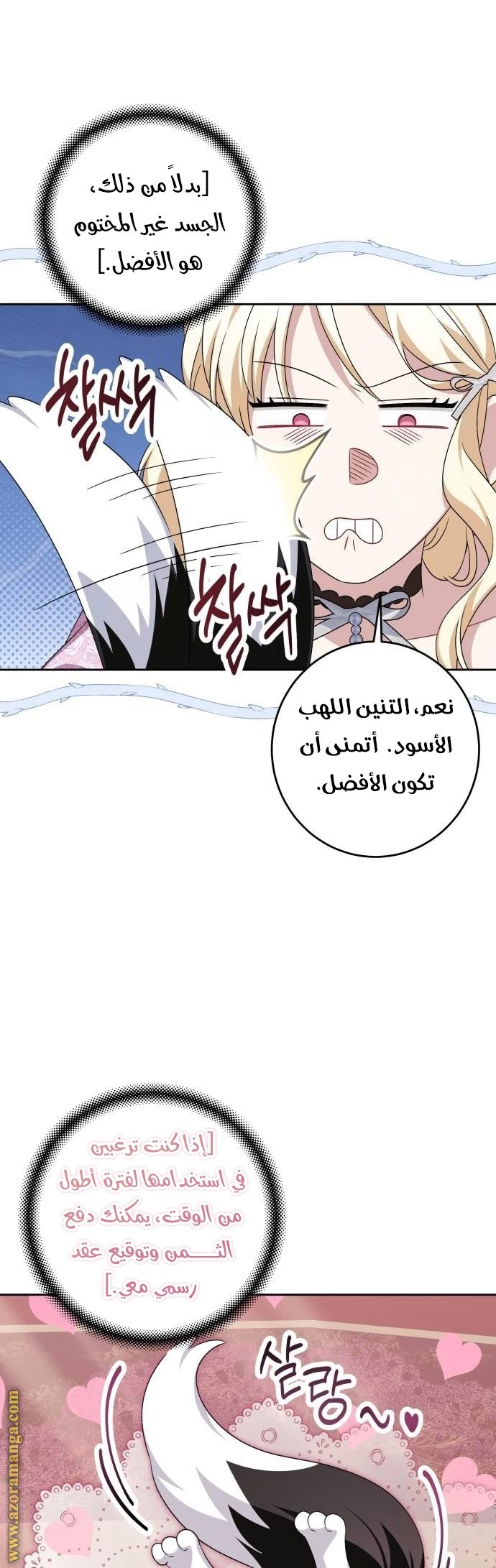 الصفحة 41
