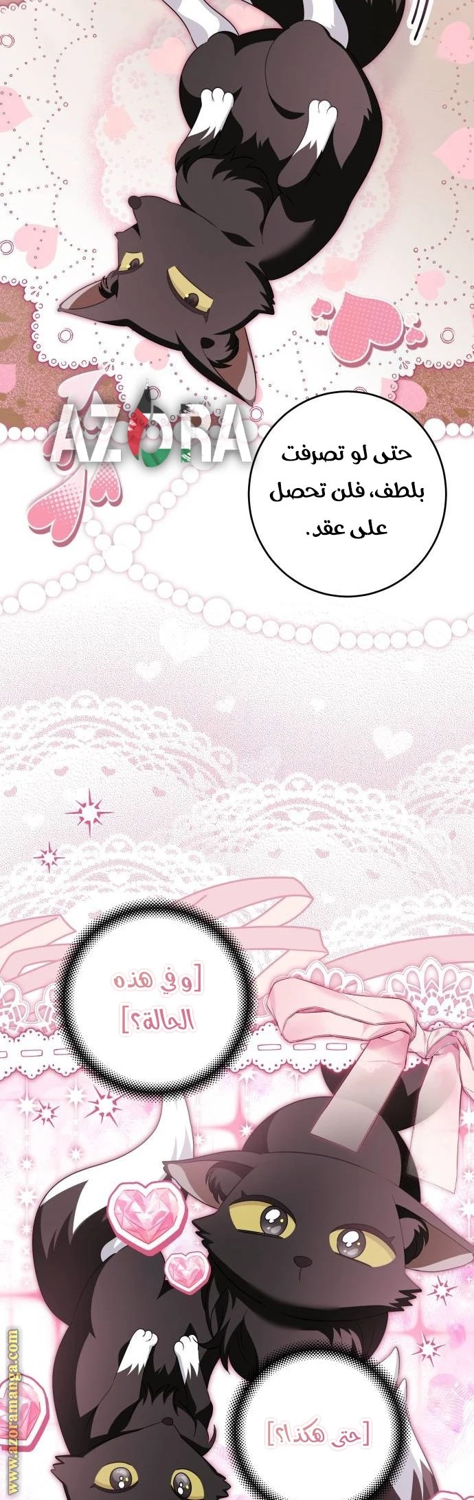 الصفحة 42