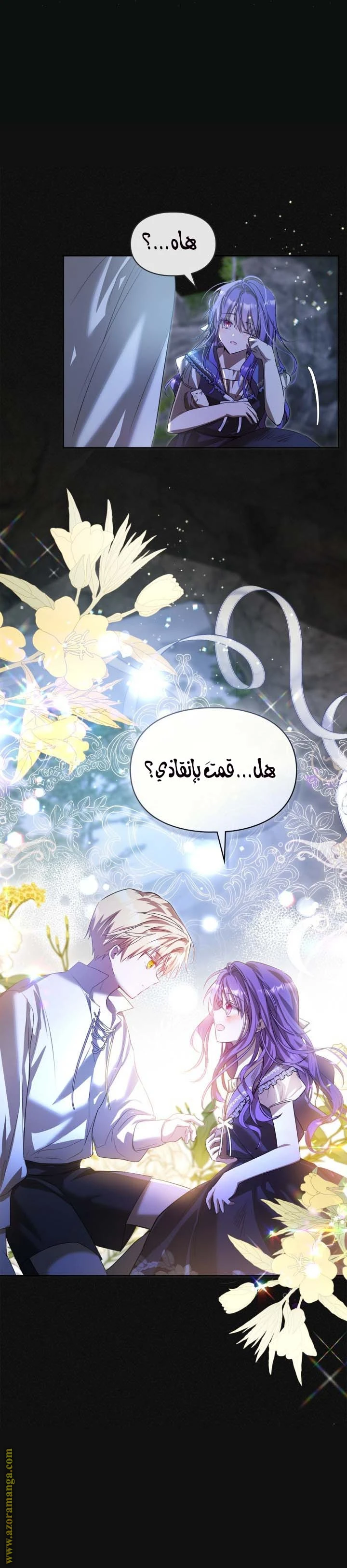 الصفحة 12