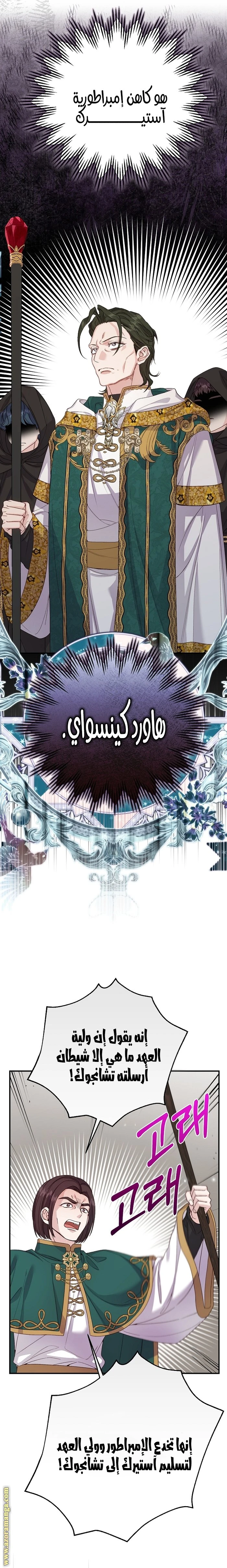 الصفحة 26