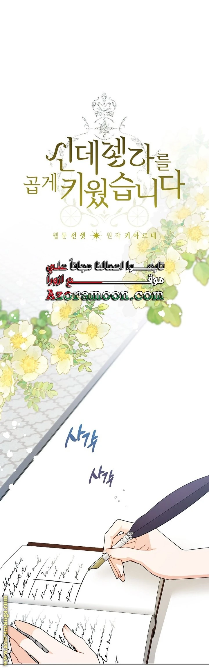 الصفحة 13
