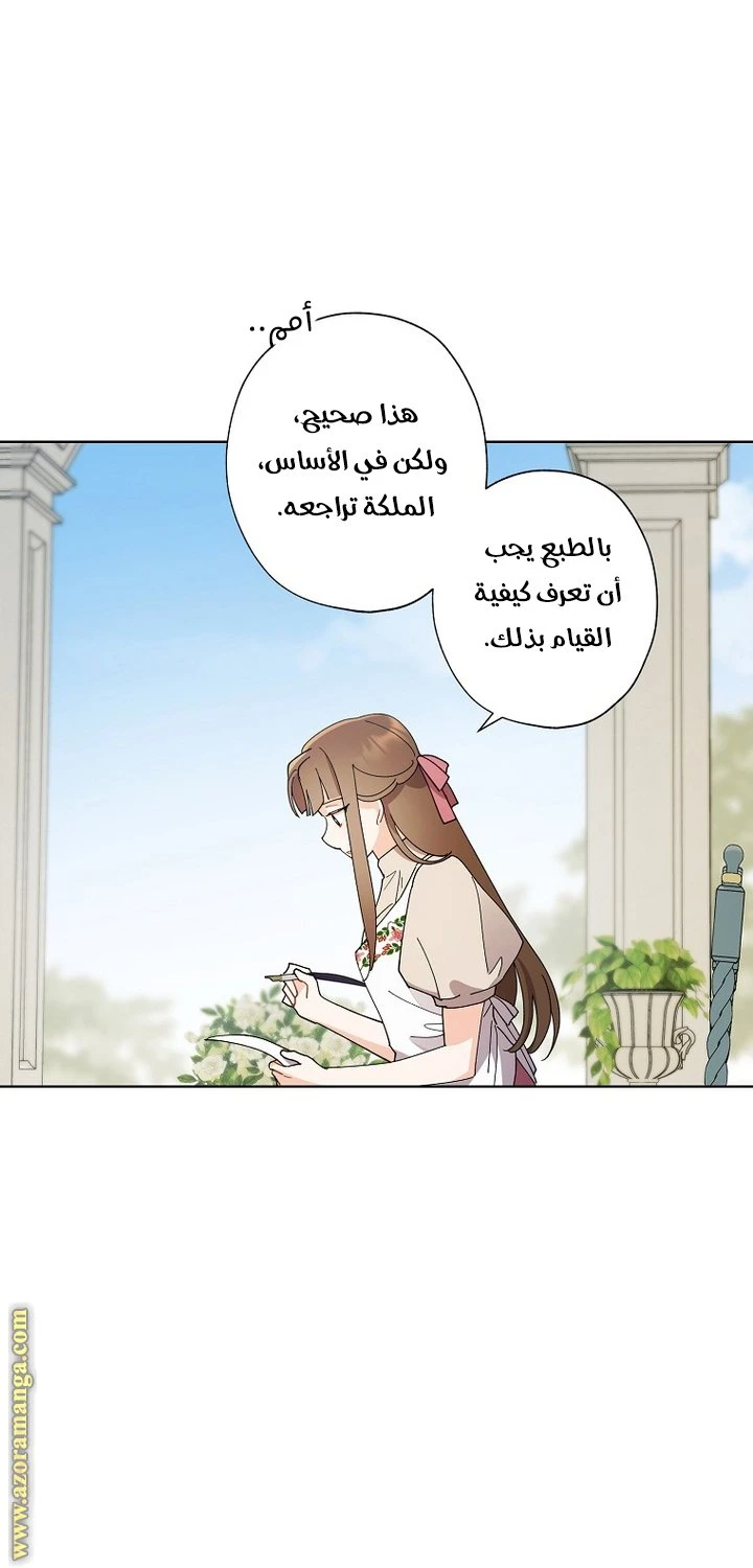 الصفحة 17