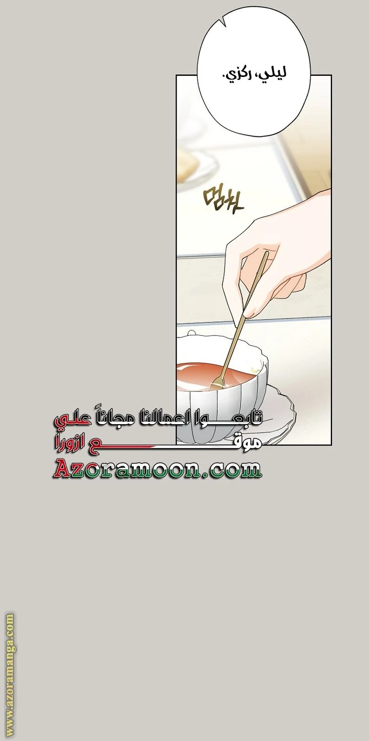 الصفحة 25