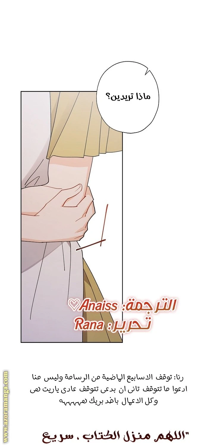 الصفحة 46