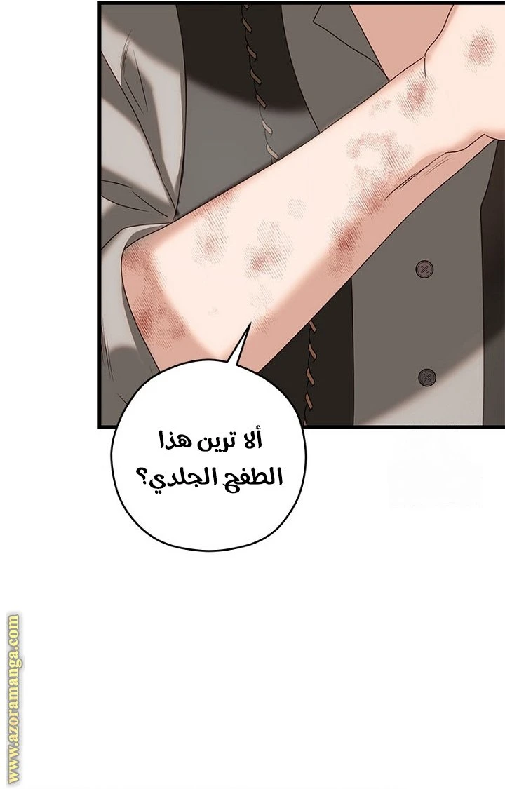 الصفحة 22