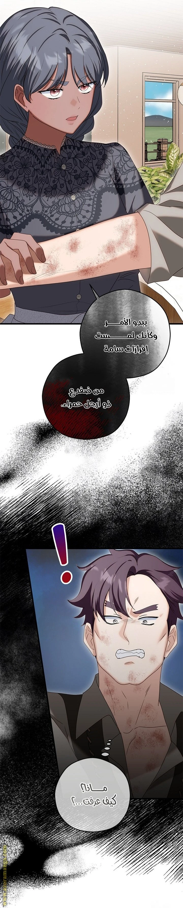 الصفحة 24