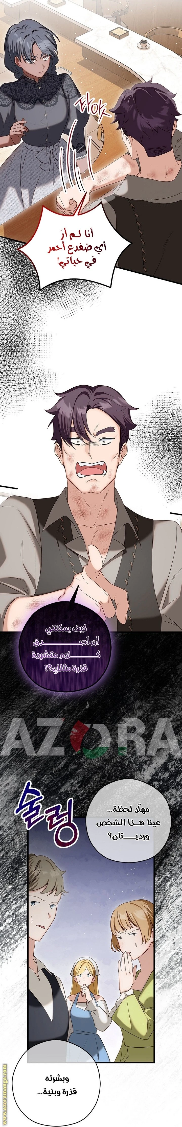 الصفحة 26
