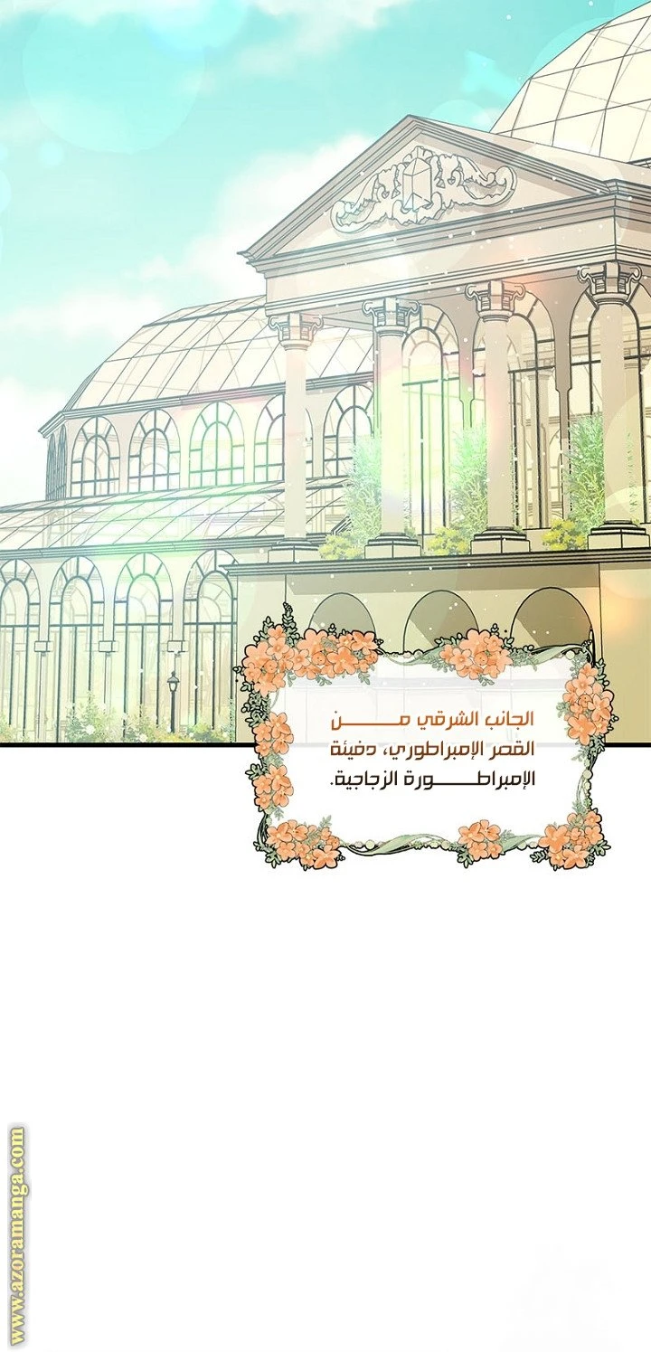 الصفحة 56