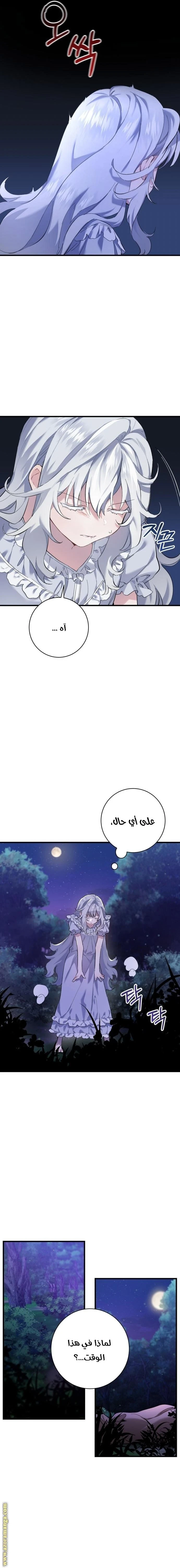 الصفحة 5