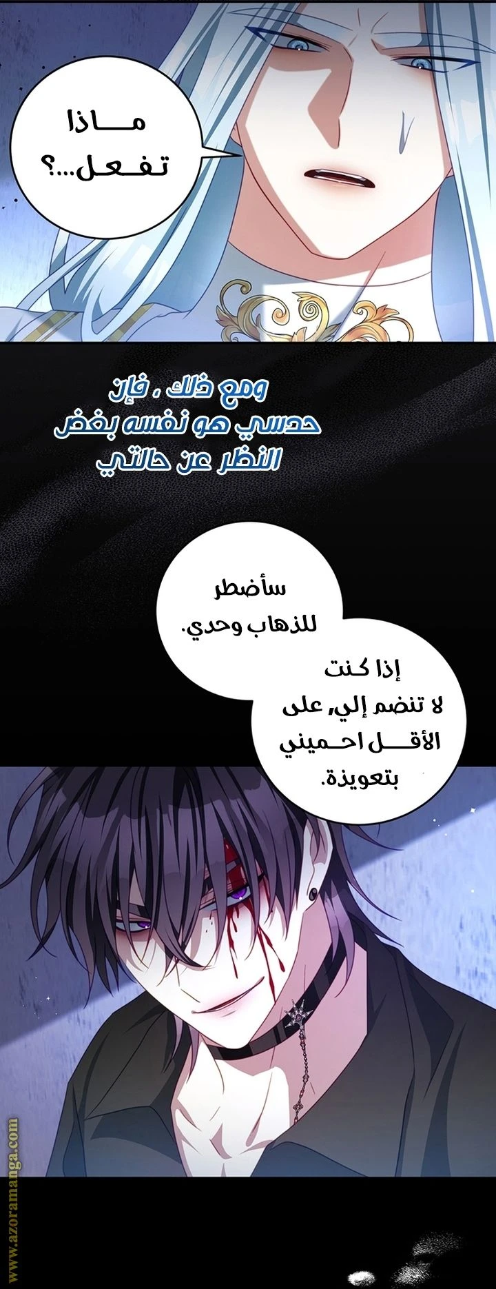 الصفحة 25