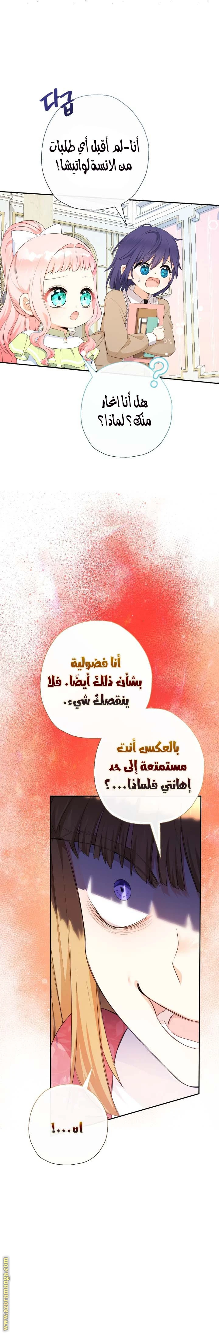 الصفحة 13