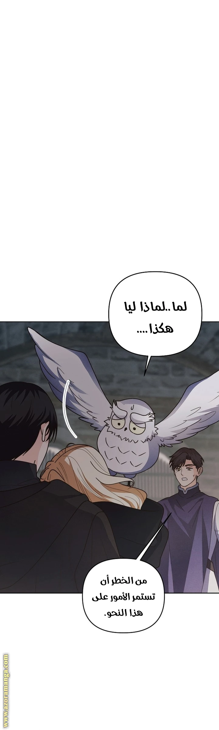 الصفحة 3