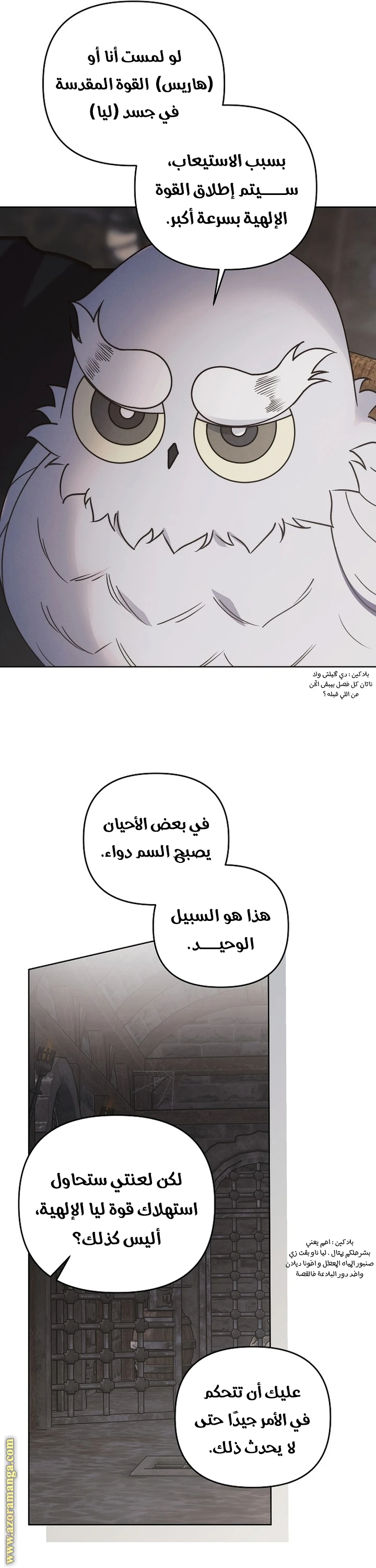 الصفحة 12