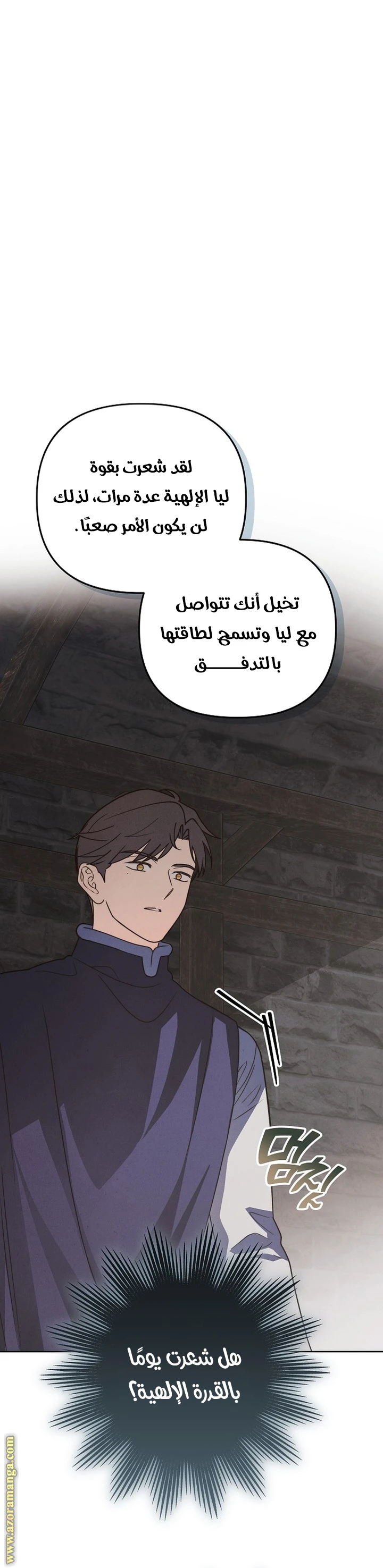 الصفحة 13