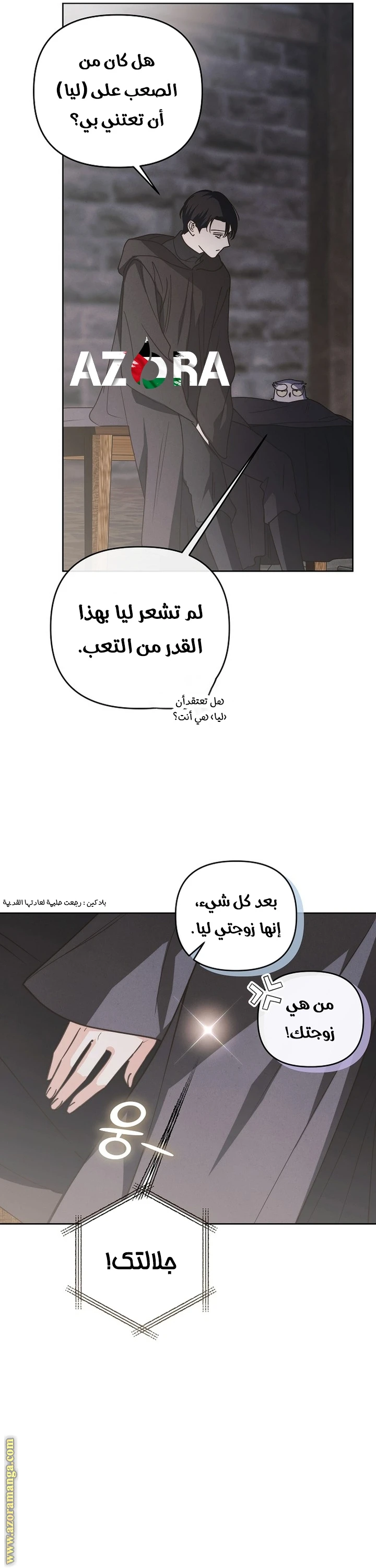 الصفحة 21