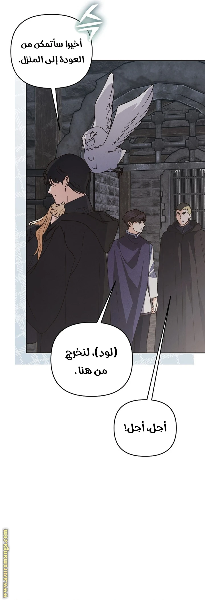 الصفحة 25