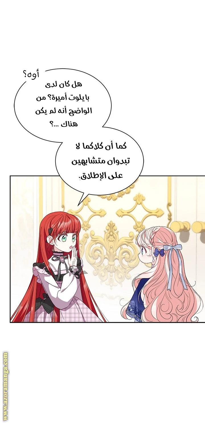 الصفحة 17