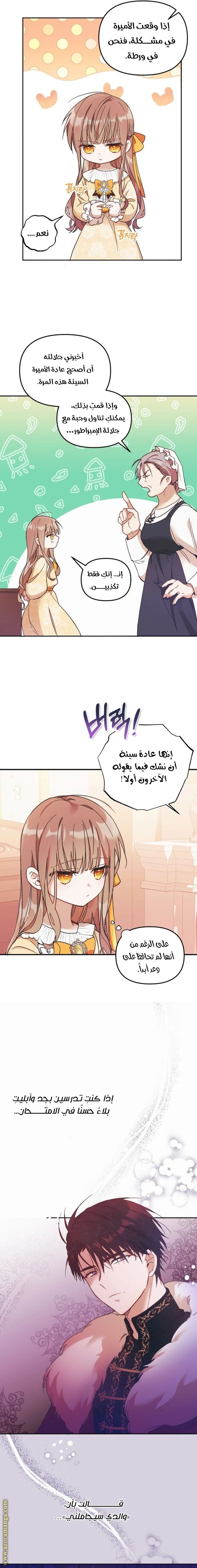 الصفحة 17
