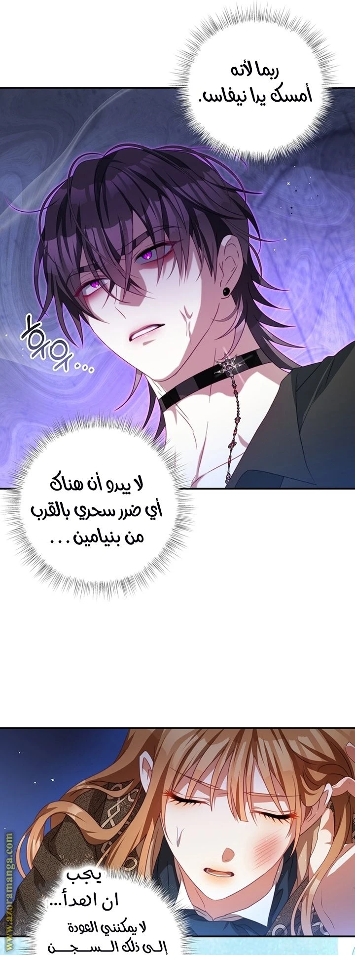 الصفحة 12