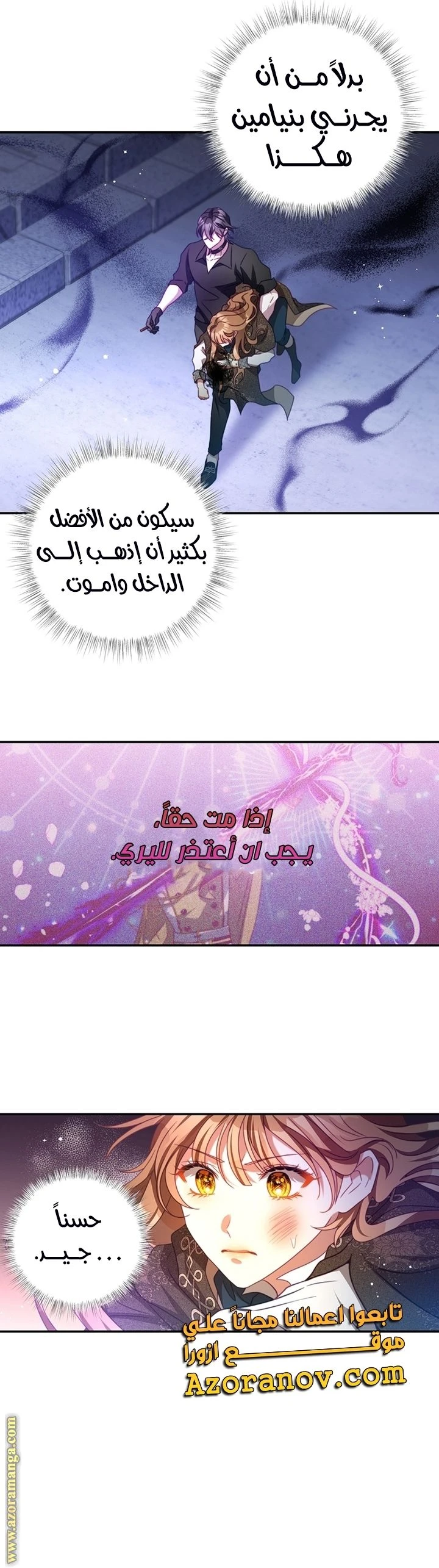 الصفحة 17