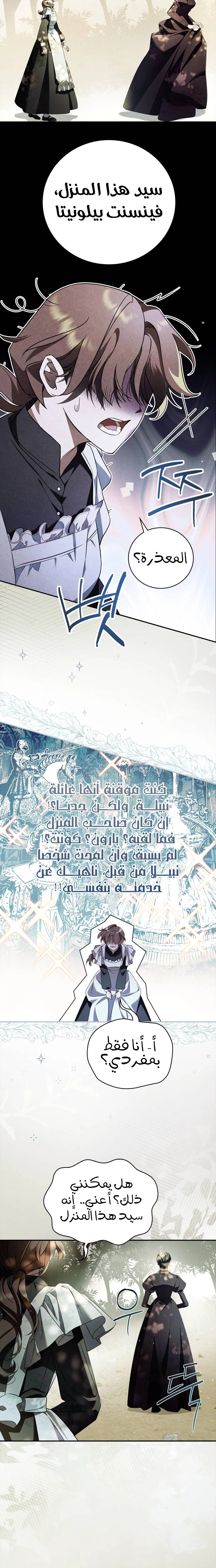 الصفحة 25