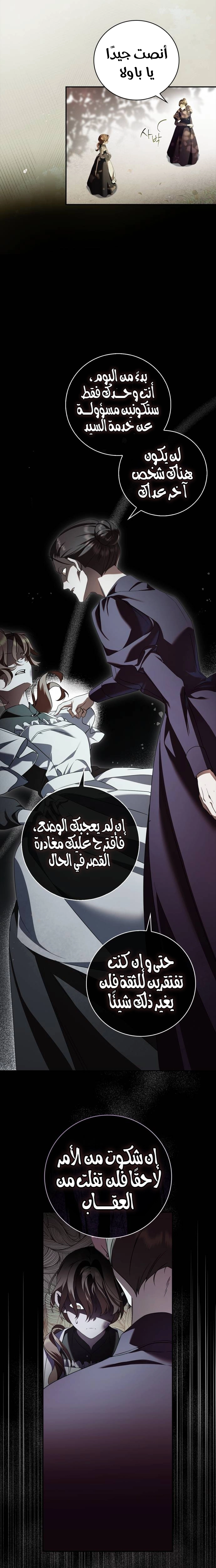 الصفحة 26