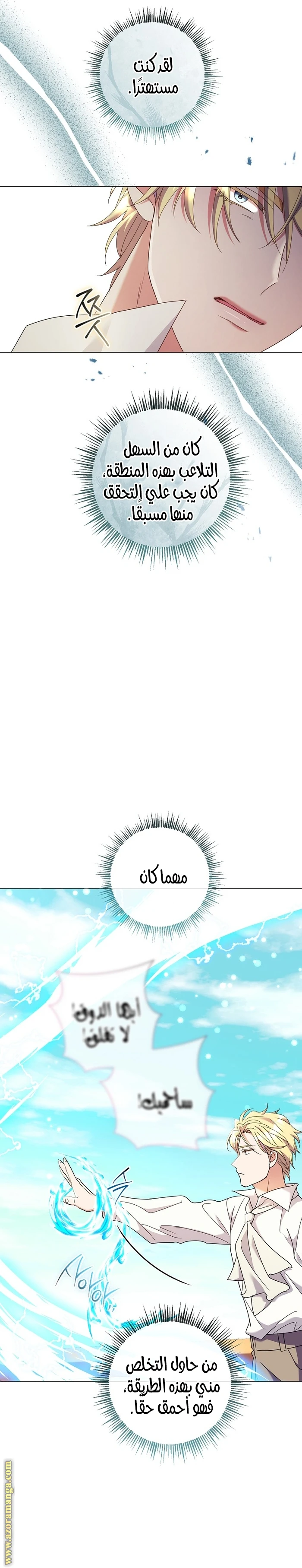 الصفحة 17
