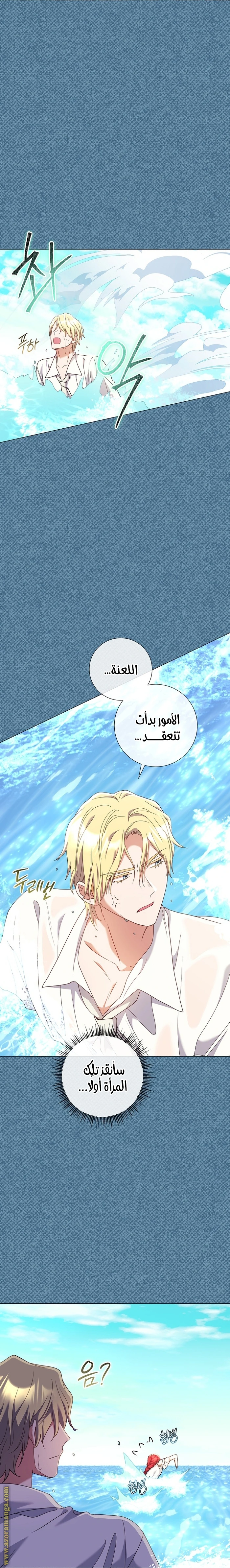 الصفحة 26