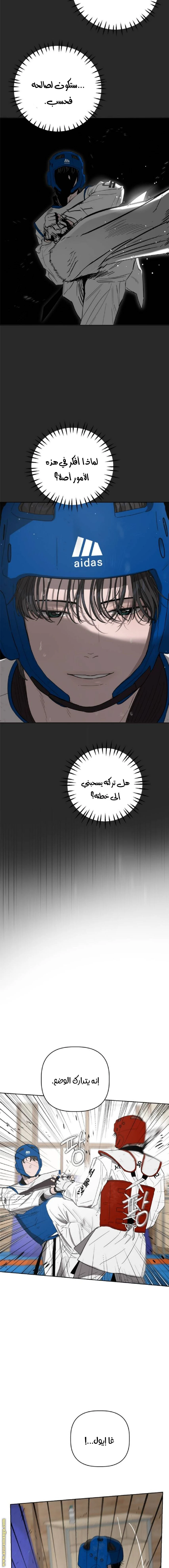 الصفحة 5