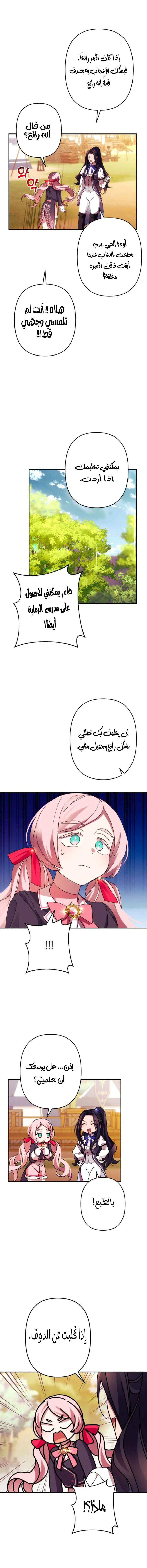 الصفحة 8