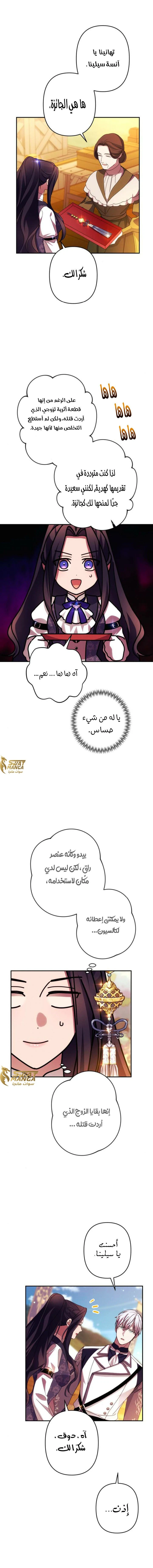الصفحة 11