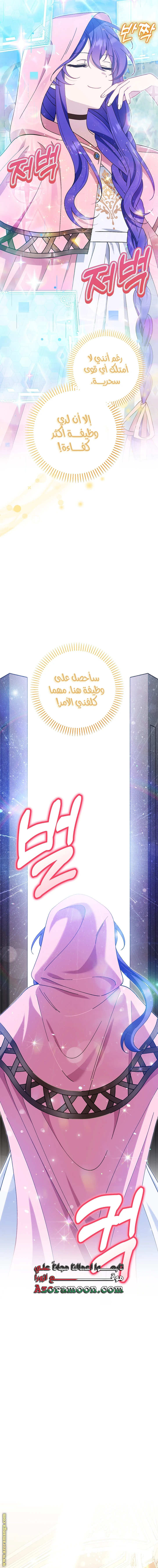 الصفحة 21