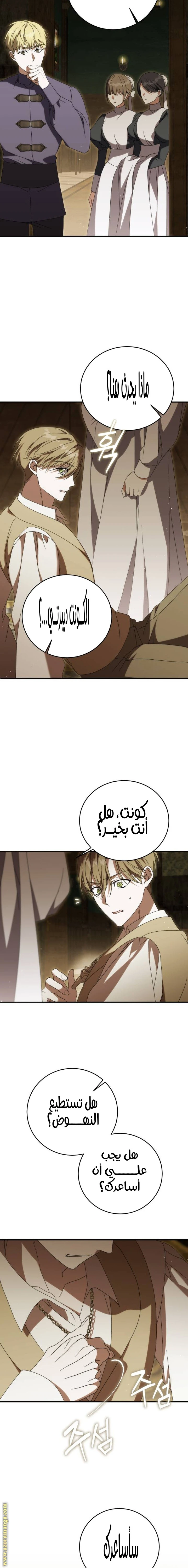 الصفحة 13