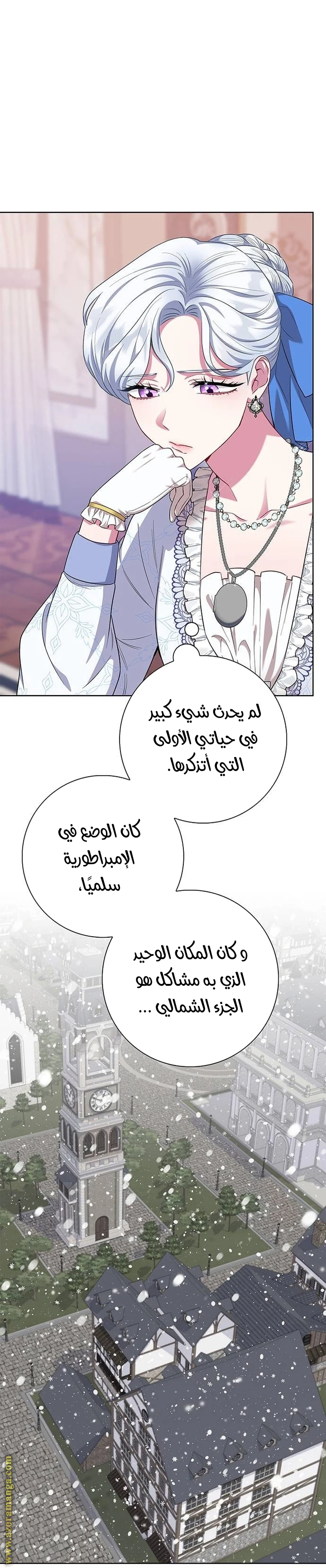 الصفحة 17